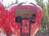Photo Number 9