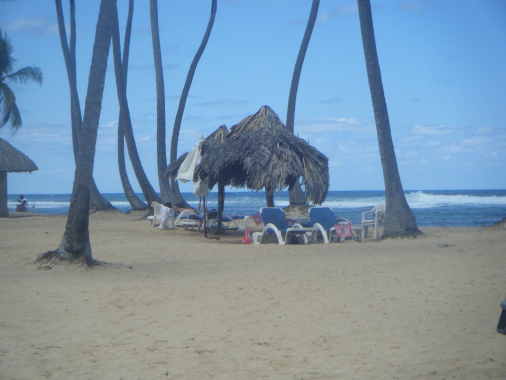 dscf0039.jpg