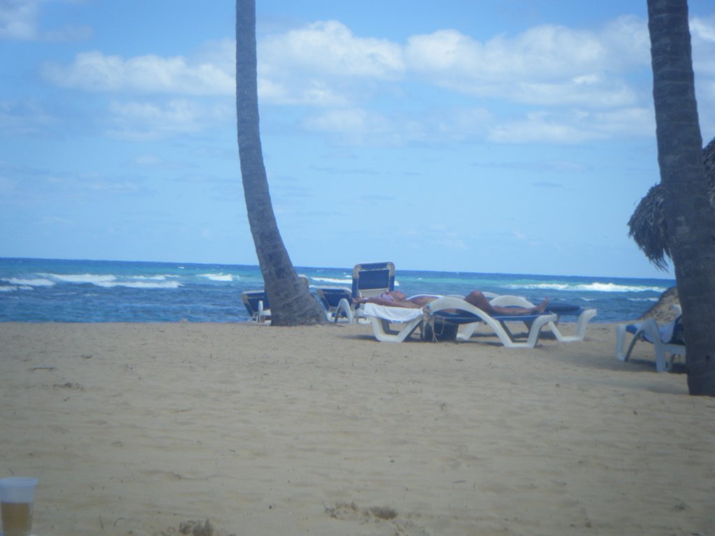 dscf0041.jpg