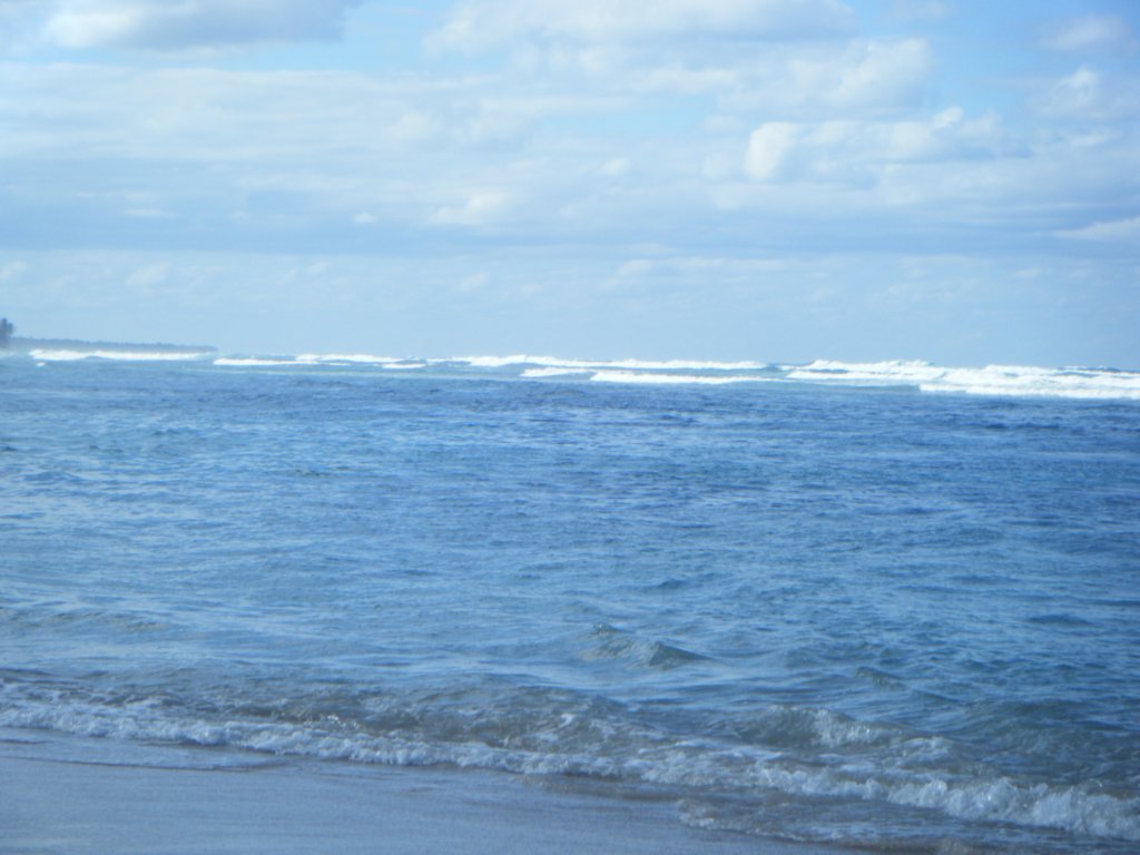 dscf0073.jpg