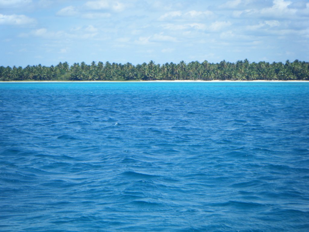 dscf0106.jpg