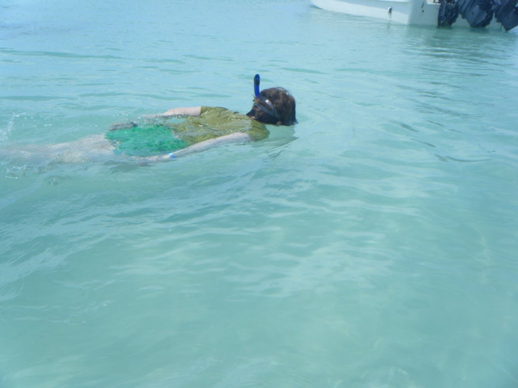 dscf0128.jpg
