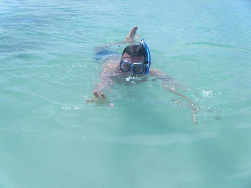 dscf0134.jpg