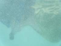 dscf0138_small.jpg