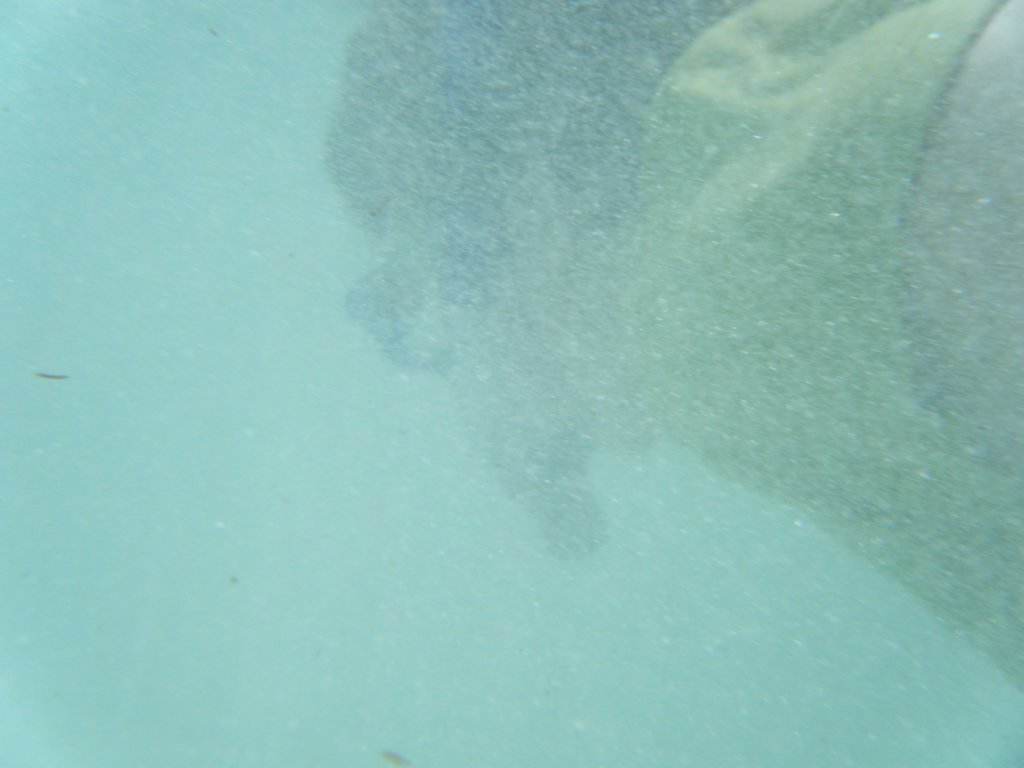 dscf0139.jpg