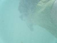 dscf0139_small.jpg