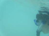 dscf0142_small.jpg