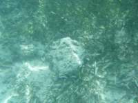 dscf0143_small.jpg