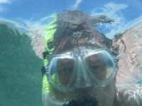 dscf0146_small.jpg