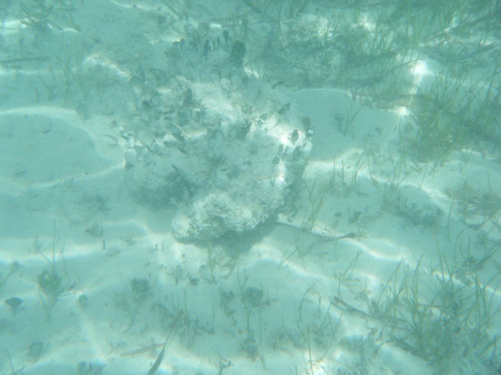 dscf0147.jpg