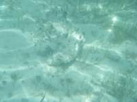 dscf0147_small.jpg