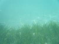 dscf0148_small.jpg