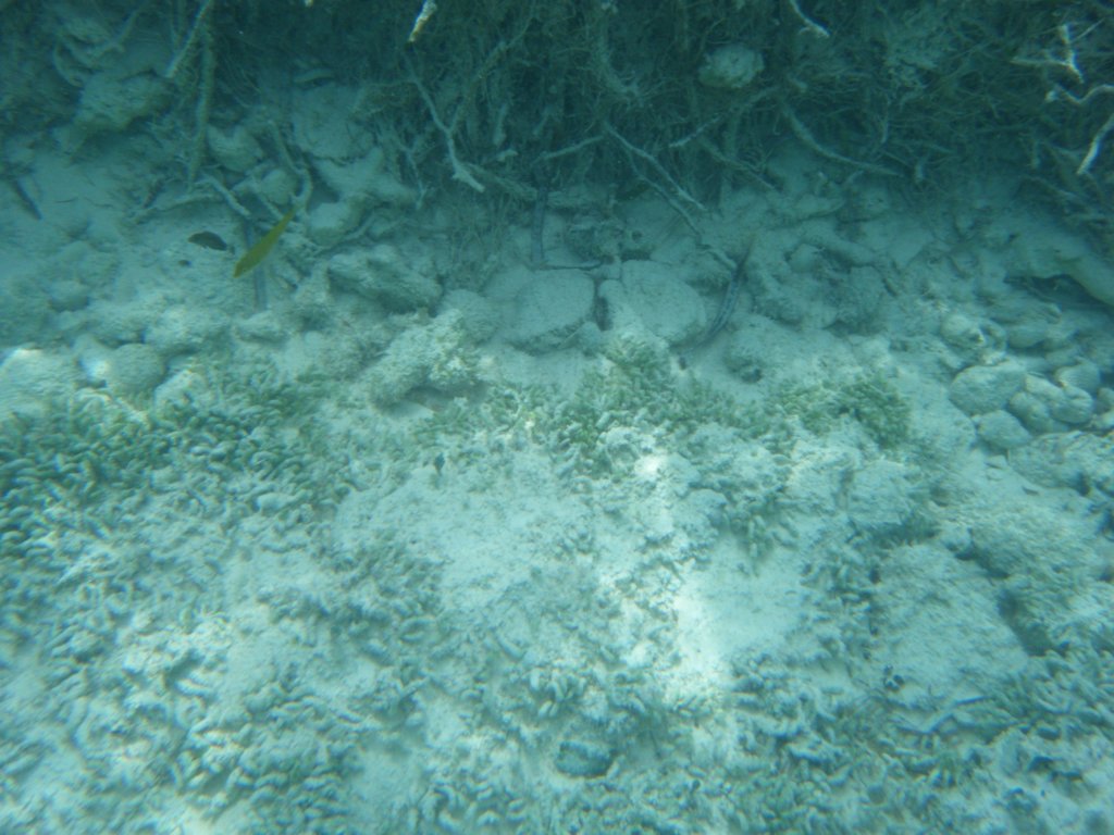 dscf0150.jpg