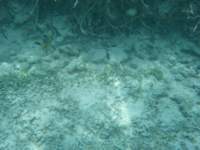 dscf0150_small.jpg
