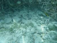 dscf0152_small.jpg