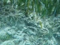 dscf0153_small.jpg