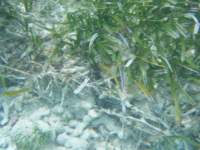 dscf0154_small.jpg