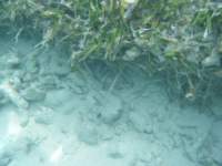 dscf0155_small.jpg