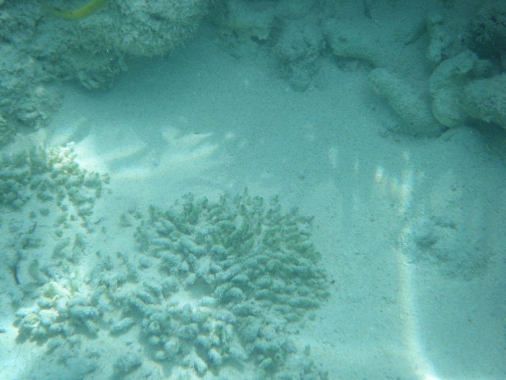 dscf0156.jpg