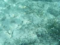 dscf0157_small.jpg