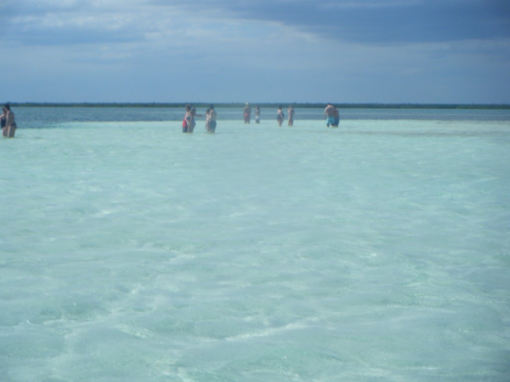 dscf0183.jpg