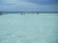 dscf0183_small.jpg