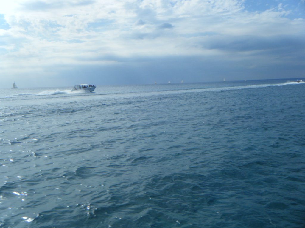 dscf0203.jpg