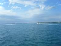 dscf0204_small.jpg