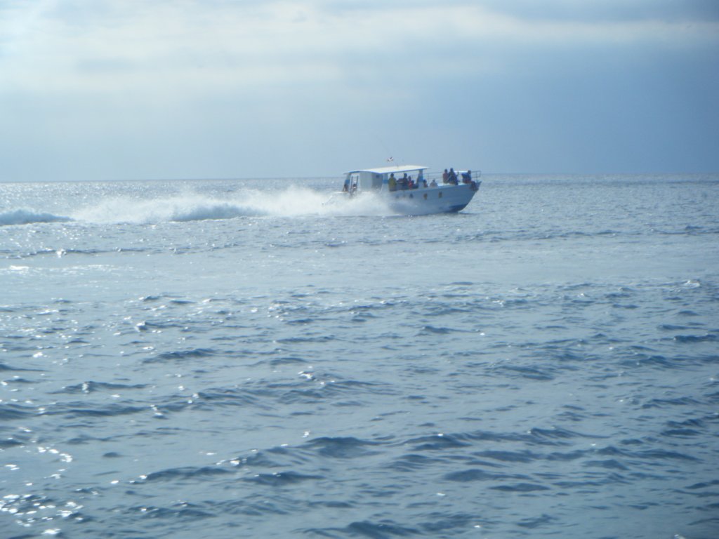 dscf0205.jpg