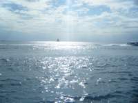dscf0207_small.jpg