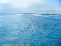 dscf0210_small.jpg