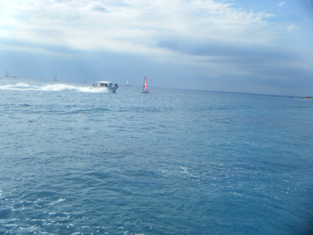 dscf0211.jpg