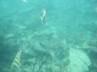 dscf0212_small.jpg