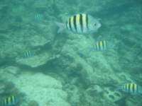 dscf0214_small.jpg