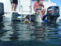 dscf0217_small.jpg