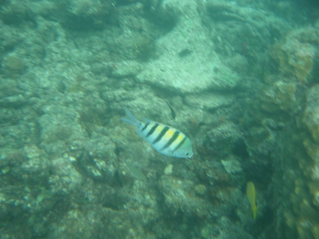 dscf0226.jpg