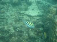 dscf0226_small.jpg