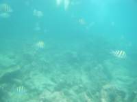 dscf0227_small.jpg