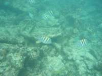dscf0228_small.jpg