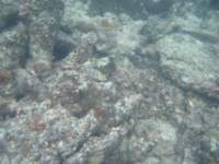 dscf0230_small.jpg