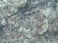 dscf0235_small.jpg