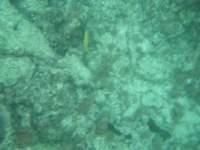 dscf0236_small.jpg