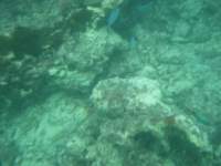 dscf0237_small.jpg