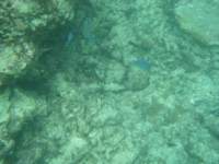 dscf0238_small.jpg