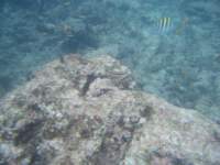 dscf0241_small.jpg