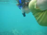 dscf0242_small.jpg