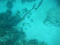 dscf0272_small.jpg
