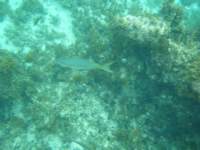 dscf0283_small.jpg