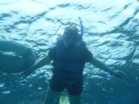 dscf0284_small.jpg