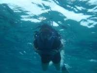 dscf0289_small.jpg